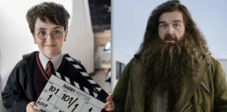 Harry Potter Serie Harry Hagrid