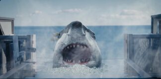 Hot Spring Shark Attack