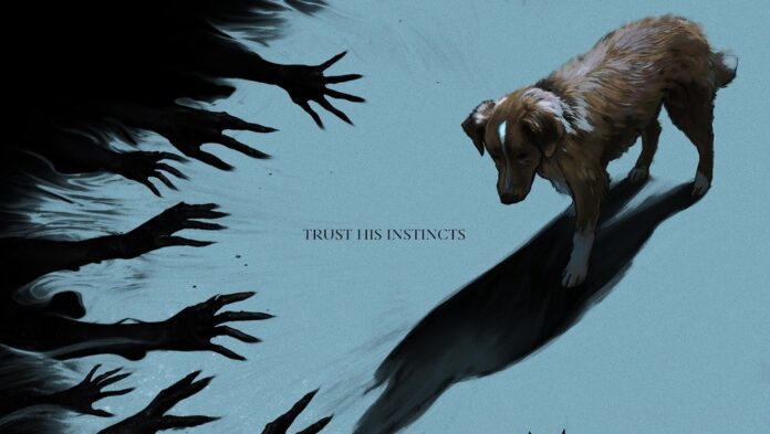 Good Boy (2025) Kritik