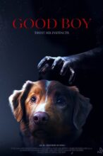 Good Boy (2025) Kritik