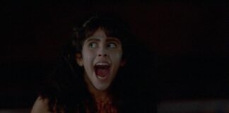 Sleepaway Camp Remake