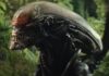 Es ist offiziell: "Alien: Earth" bekommt eine 2. Staffel! Alien Earth Staffel 2