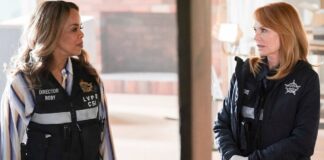 CSI Vegas Staffel 3 Free TV