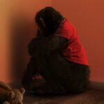 Primate (2025) Kritik