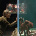 Das Glück hat acht Arme: Trailer zur Bestseller-Verfilmung von Netflix Das Glück hat acht Arme Netflix