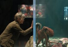 Das Glück hat acht Arme: Trailer zur Bestseller-Verfilmung von Netflix Das Glück hat acht Arme Netflix