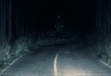 Passenger (2026) Kritik