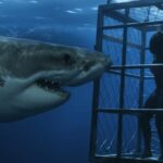 Im Trailer zu Chum ködert ein rachsüchtiger Fischer einen weißen Hai mit lebenden Menschen Chum Trailer