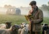 Glennkill: Ein Schafskrimi hat einen Starttermin bei Amazon Prime Video Glennkill Ein Schafskrimi Amazon Prime