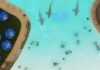 Water Park Shark: Trailer und Poster zum neuen Haitrash des Sharknado-Regisseurs Water Park Shark Trailer
