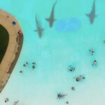 Water Park Shark: Trailer und Poster zum neuen Haitrash des Sharknado-Regisseurs Water Park Shark Trailer