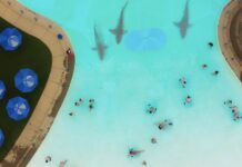 Water Park Shark: Trailer und Poster zum neuen Haitrash des Sharknado-Regisseurs Water Park Shark Trailer