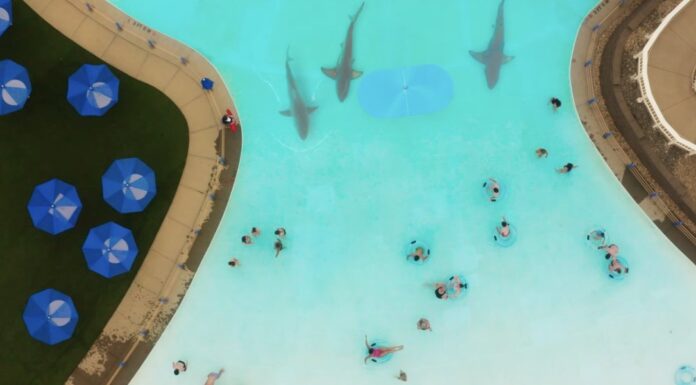 Water Park Shark: Trailer und Poster zum neuen Haitrash des Sharknado-Regisseurs Water Park Shark Trailer