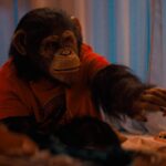 Primate: Blutiger Tierhorrorfilm kommt zu Paramount+ Primate Paramount Plus